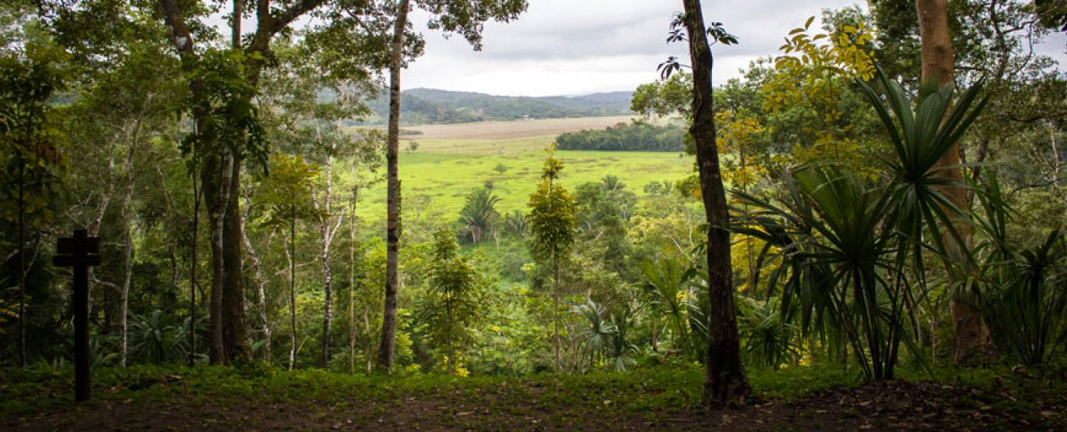 Belize-ATV-Tours-rainforest-safari-chaa-creek-6