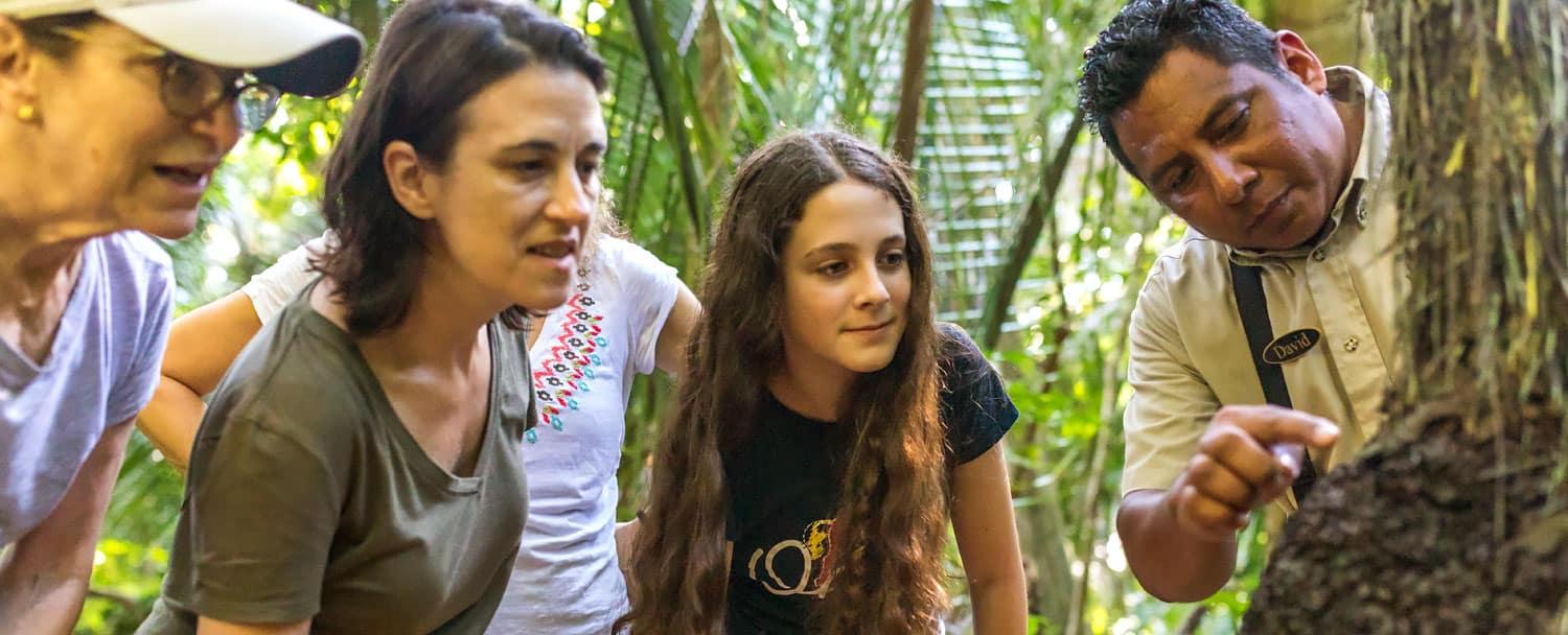 belize-hiking-tours-chaa-creek-guide-explaining-tour-web