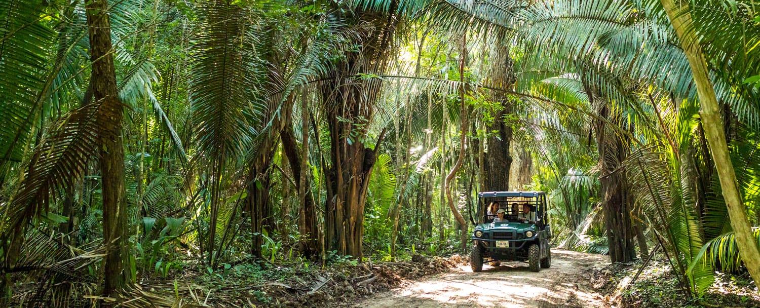 belize-ranforest-jungle-safari-guide-road-driving-web