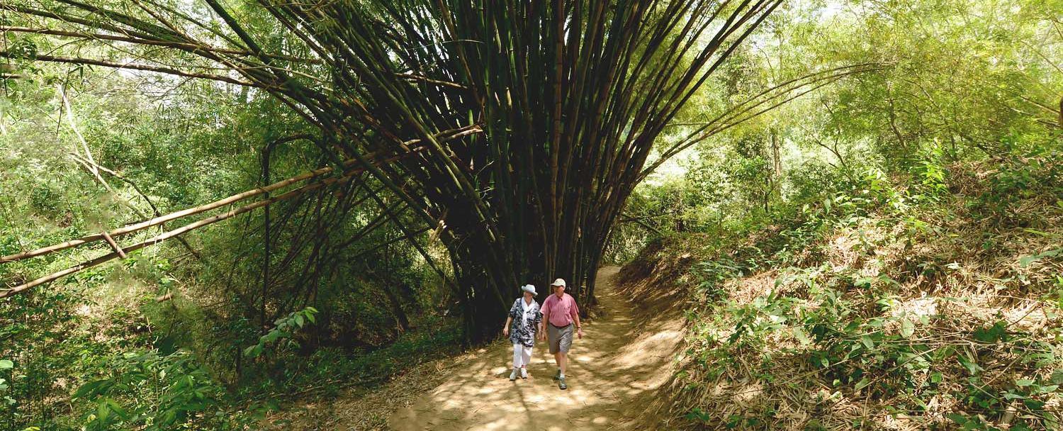 belize_hiking_trails_chaa_creek_10