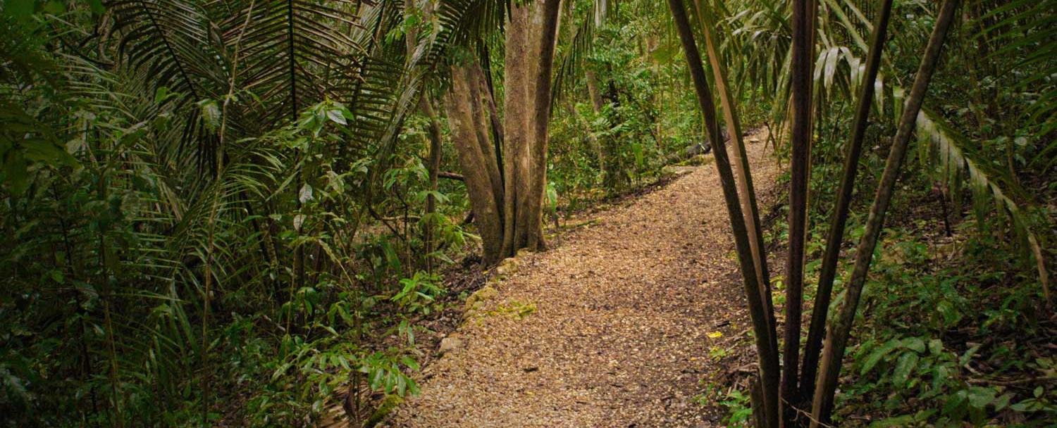 belize_hiking_trails_chaa_creek_6