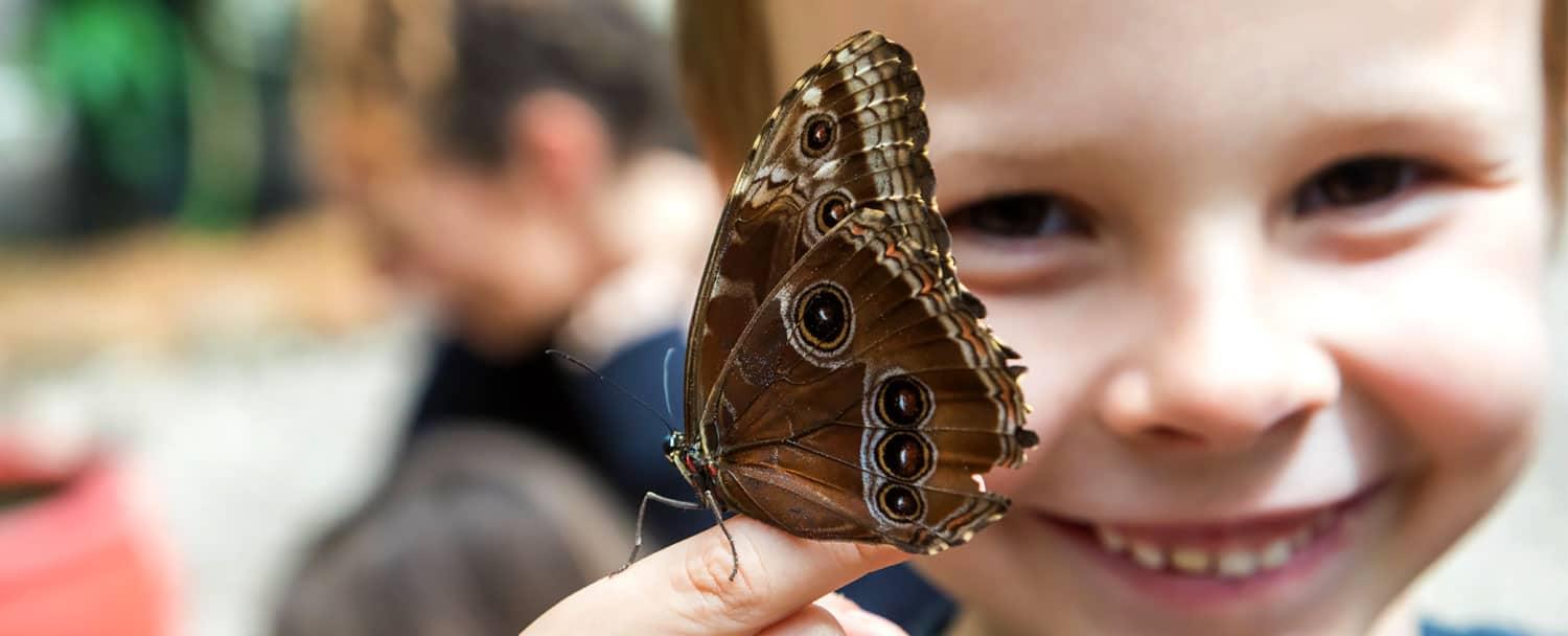 blue-morpho-butterfly-belize-kid-smiling-web