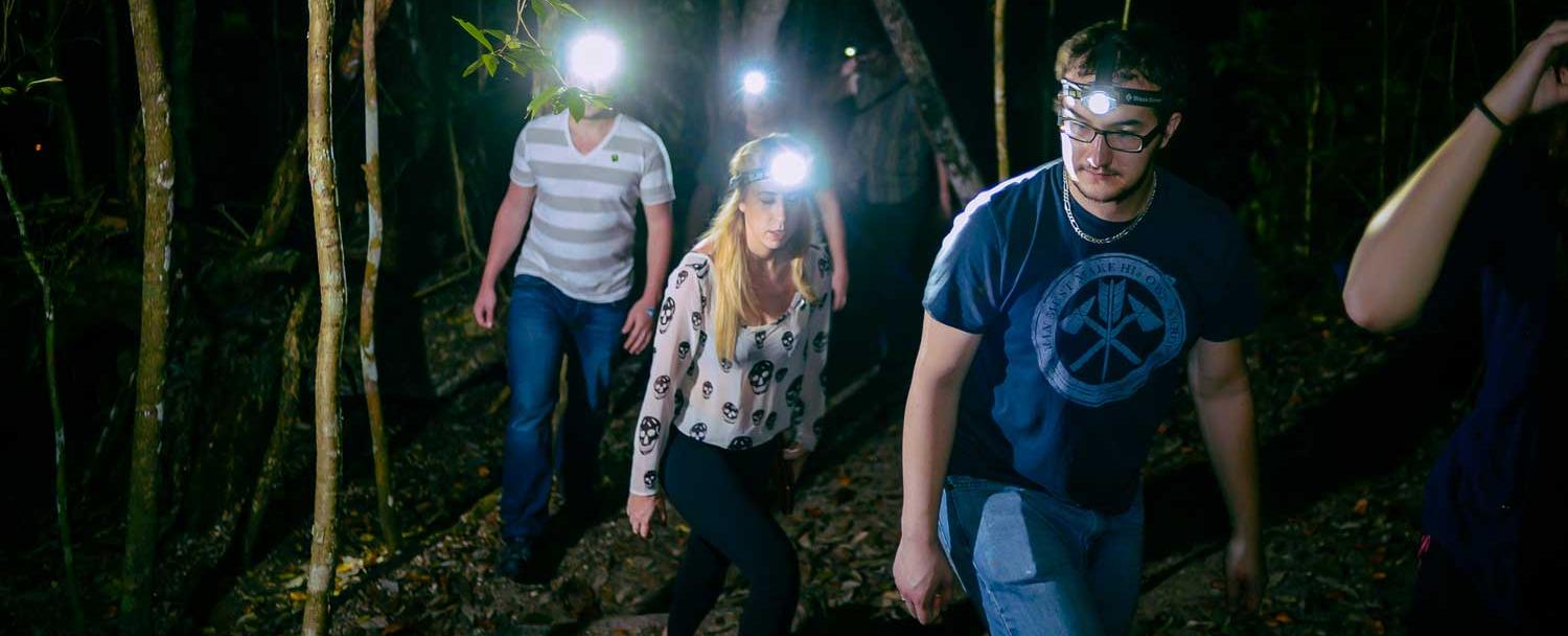 chaa_creek_creatures_of_night_tour_4