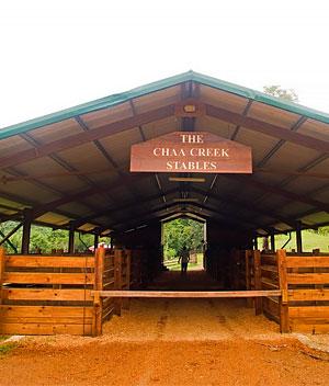 Our Story 18 chaacreek belize story built horse stables