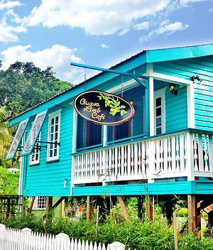 Our Story 24 chaacreek belize story guava limb cafe
