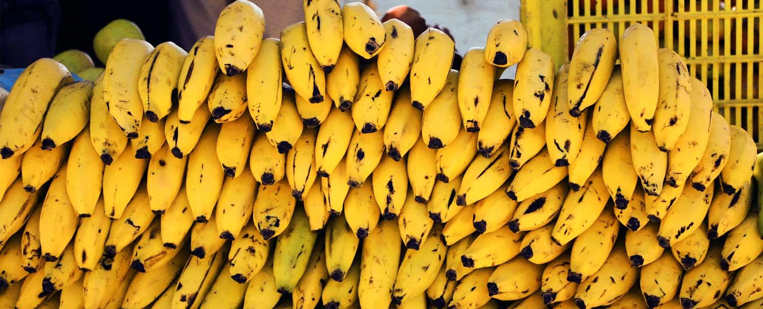san_ignacio_market_tour_chaa_creek_bananas