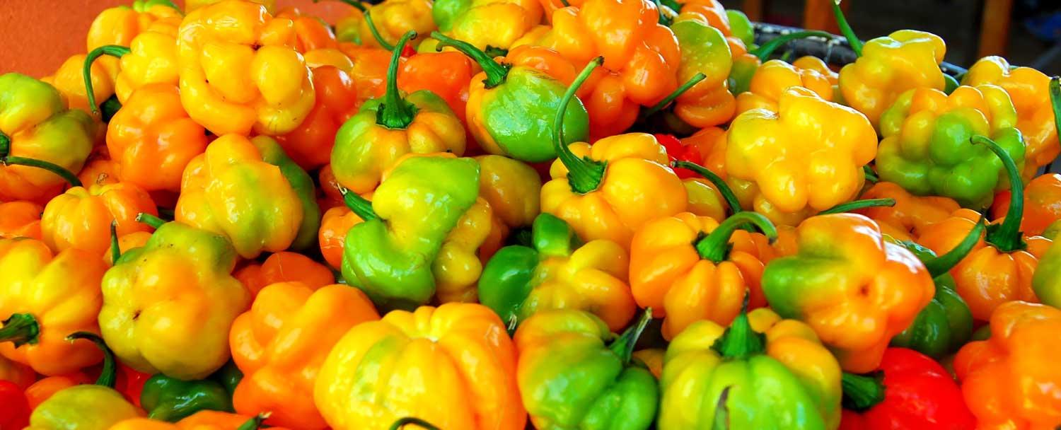 san_ignacio_market_tour_chaa_creek_peppers