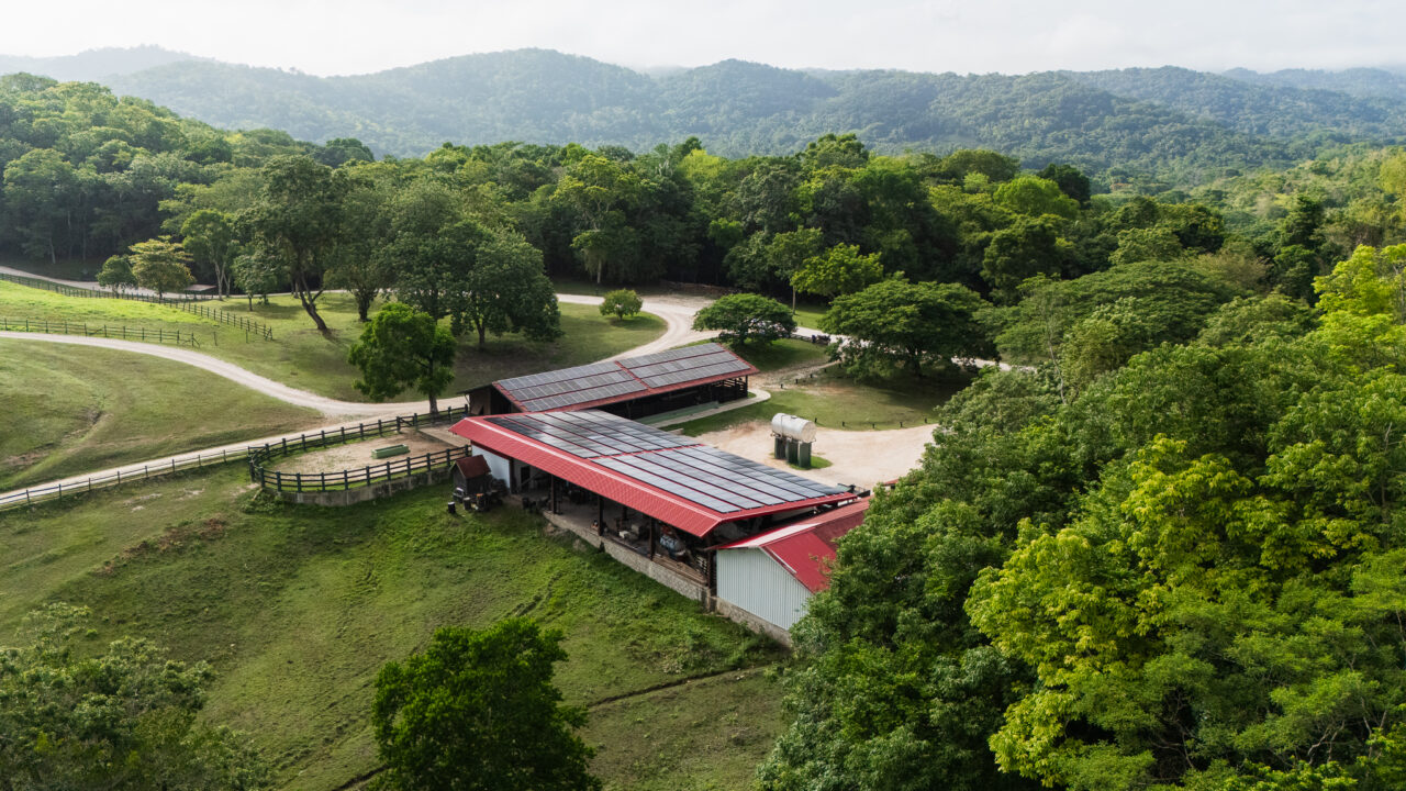 DJI 20250711084445 0012 D e1755835693618