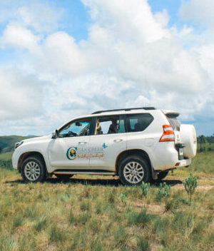 Our Story 36 September 23 2021 Birding Mountain Pine Ridge Guides 29 scaled e1755817101823
