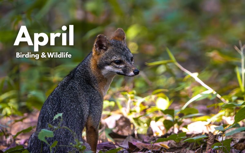 WhatsApp Image 2026 03 05 at 10.12.25